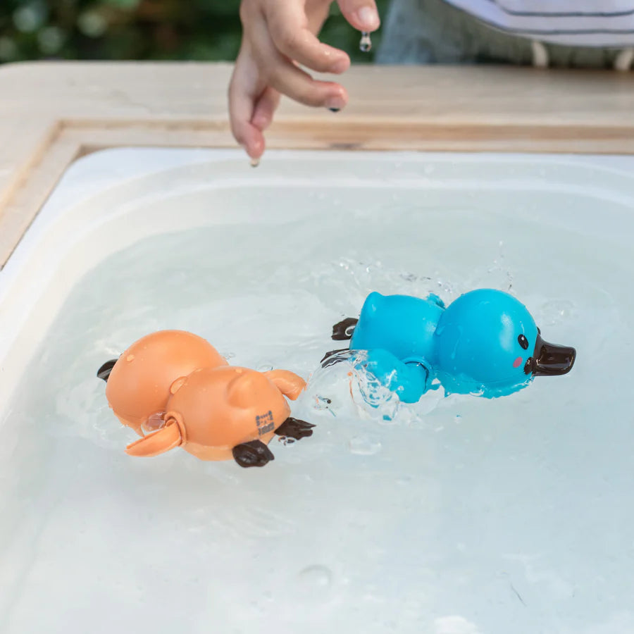 Tiger Tribe - badelegetøj - træk-op næbdyr