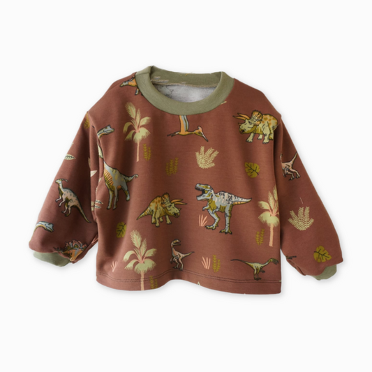 Gavin - sweatshirt - dino