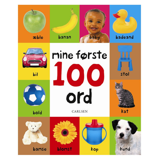 Papbog - Mine første 100 ord