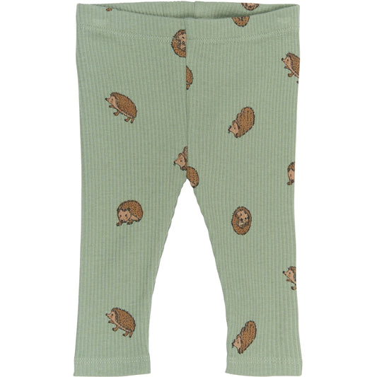 The new siblings - leggings - hedgehogs