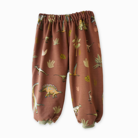 Gavin - sweatpants - dino
