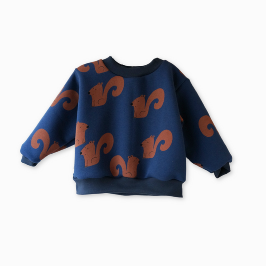 Gavin - sweatshirt blå - egern