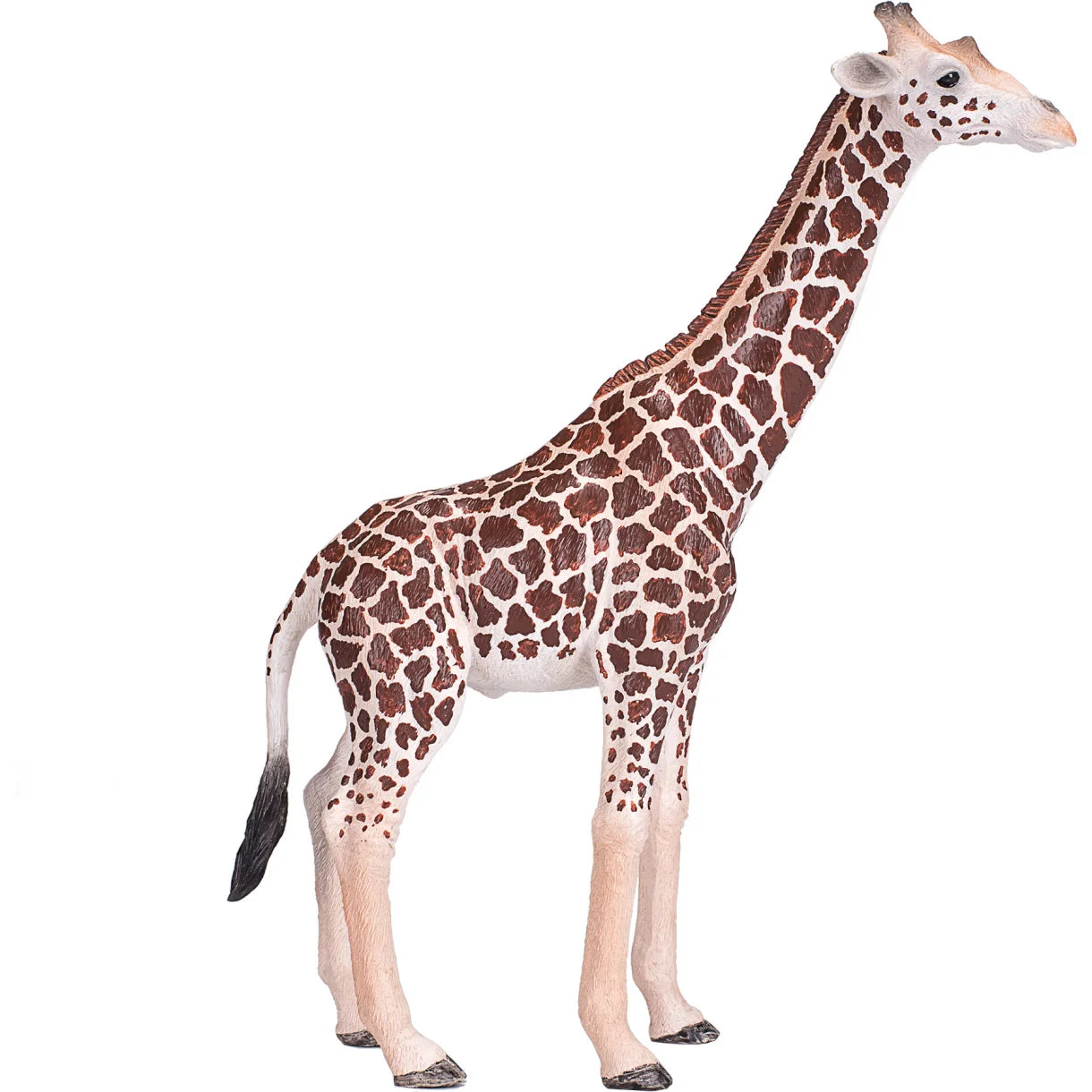 Mojo - giraf