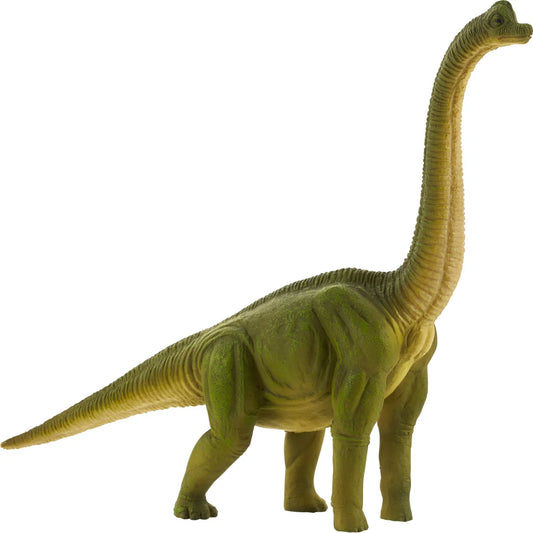 Mojo - Brachiosaurus